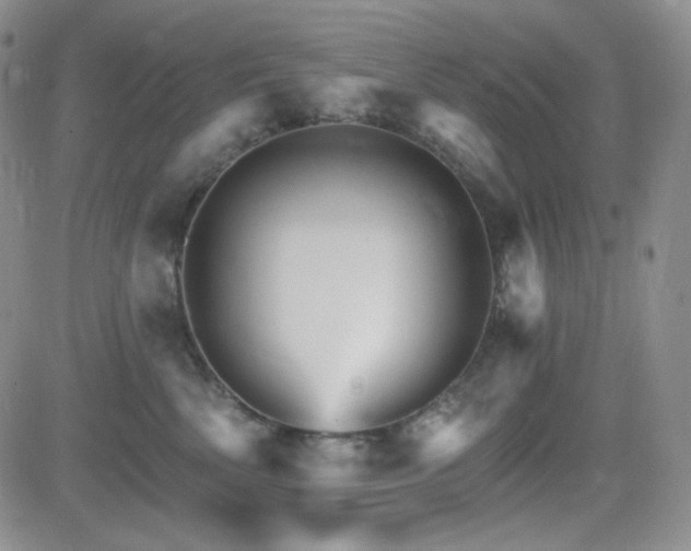 X0000084520522200702231138