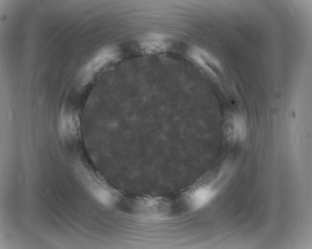 X0000084520523200702231138