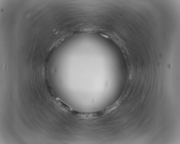 X0000084520524200702231138