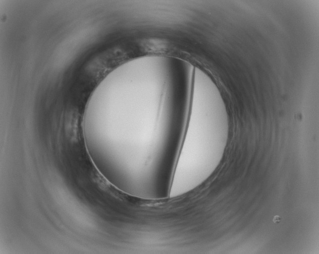 X0000084520525200702231138