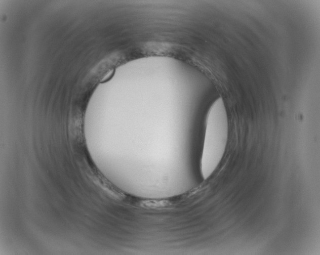 X0000084520526200702231138