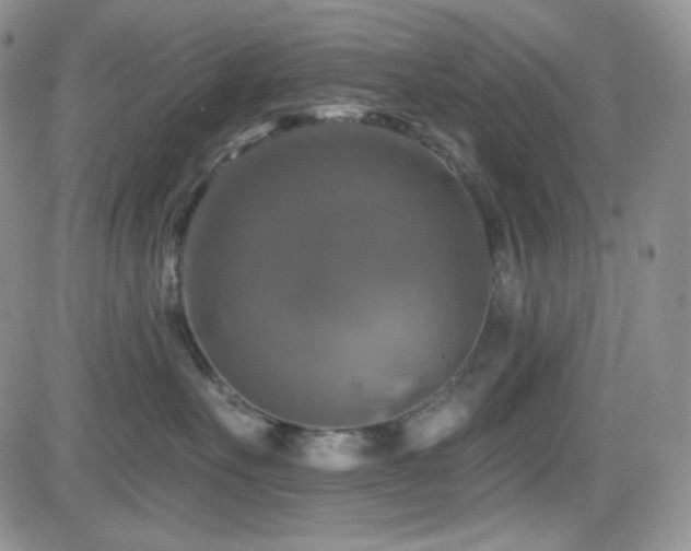 X0000084520527200702231138