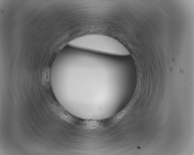 X0000084520528200702231138