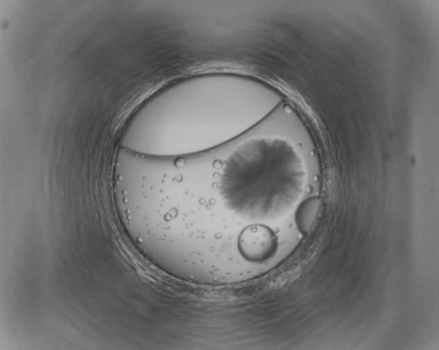 X0000084520529200702231137