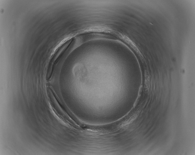 X0000084520530200702231137