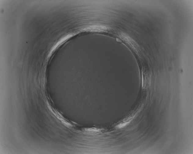 X0000084520531200702231137