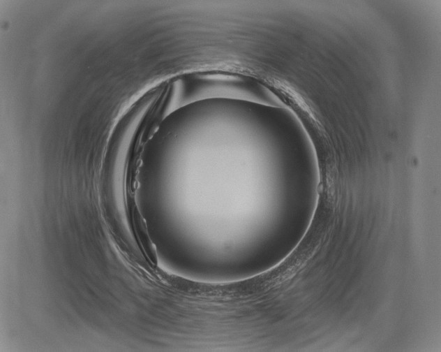 X0000084520532200702231137