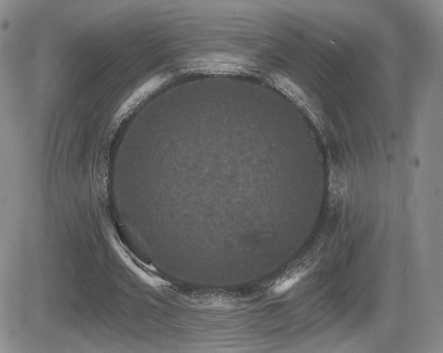 X0000084520533200702231137