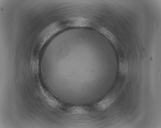 X0000084520534200702231137