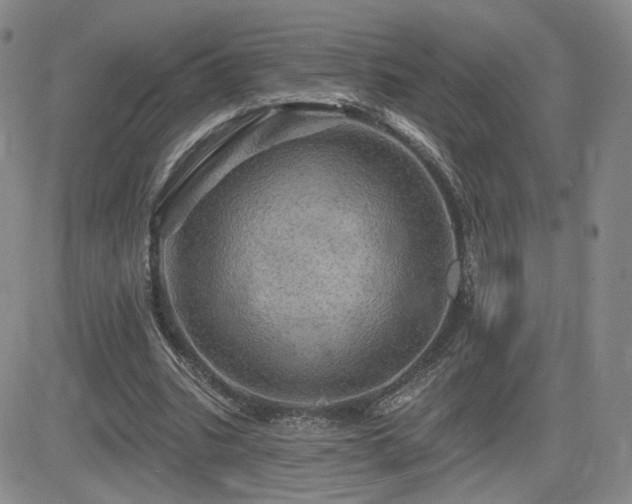 X0000084520535200702231137