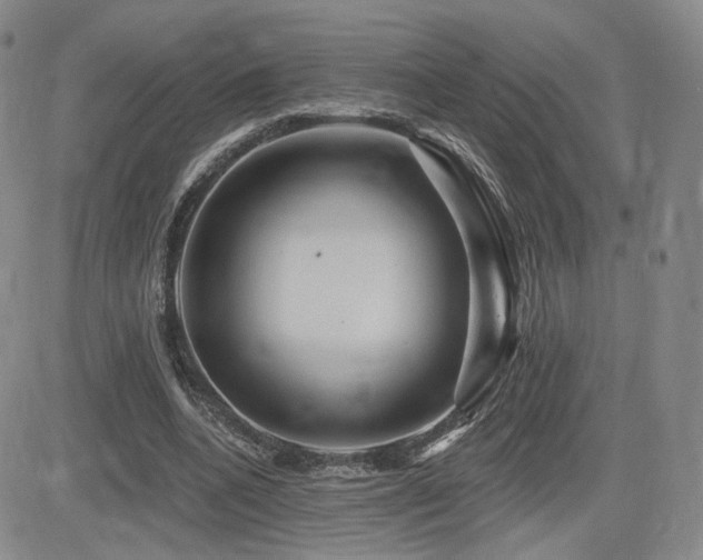 X0000084520536200702231137