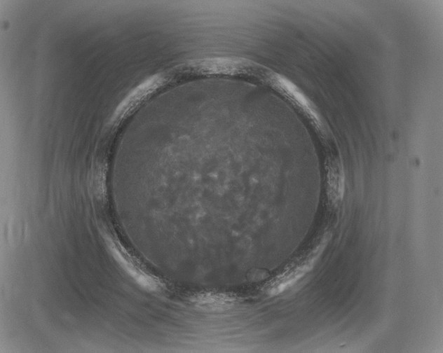 X0000084520537200702231137