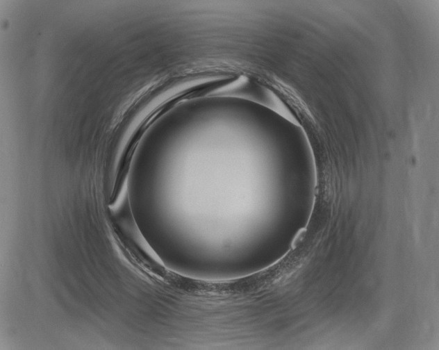 X0000084520538200702231137