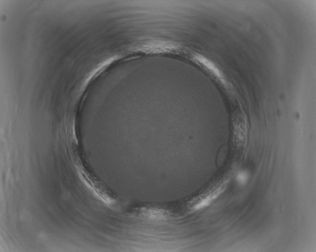 X0000084520539200702231137