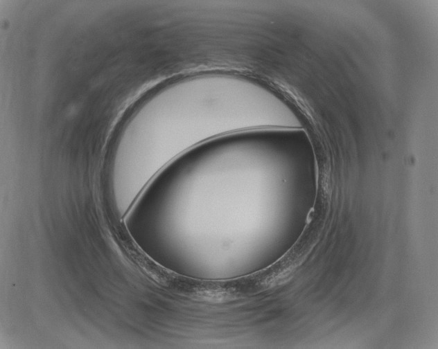 X0000084520540200702231137