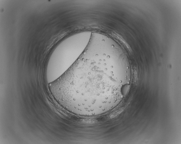 X0000084520541200702231137