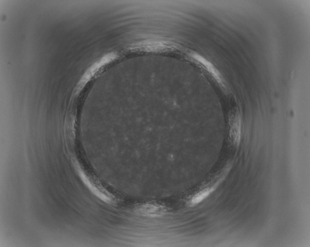 X0000084520542200702231137