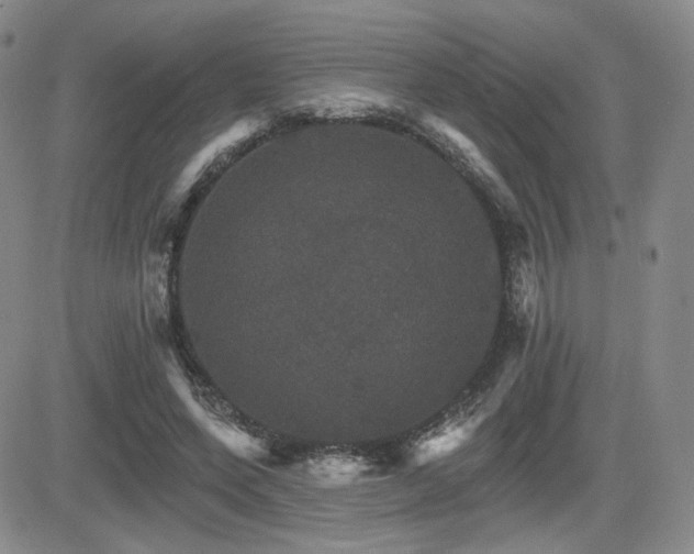 X0000084520543200702231137