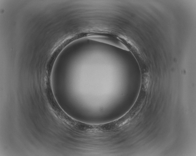 X0000084520544200702231137