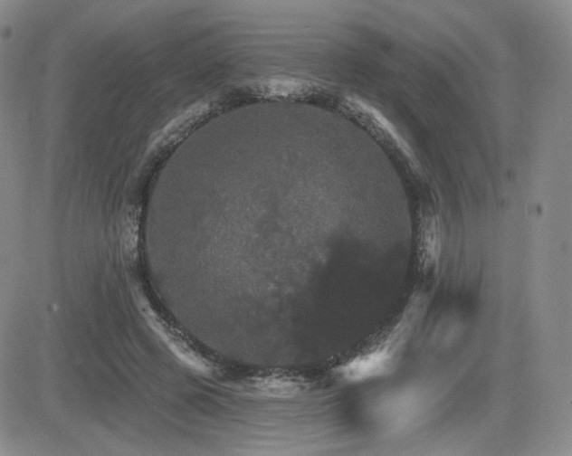 X0000084520545200702231137