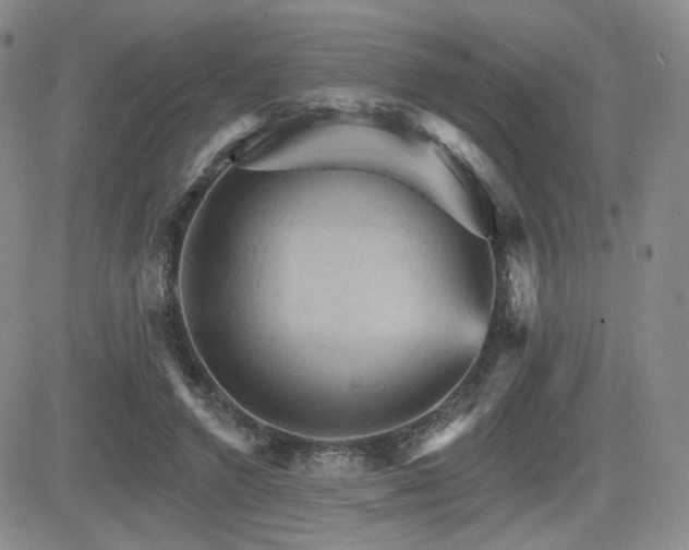 X0000084520546200702231137