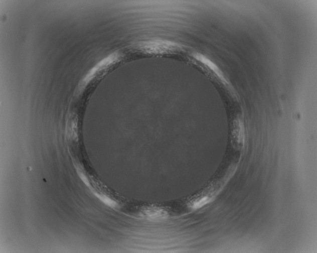 X0000084520547200702231137