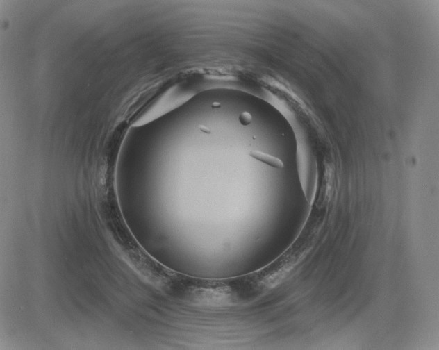 X0000084520548200702231137