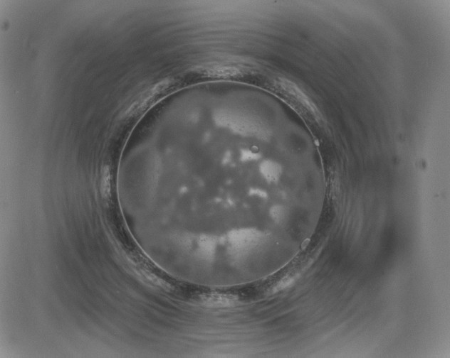 X0000084520549200702231137