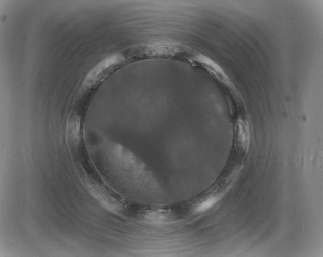 X0000084520550200702231137