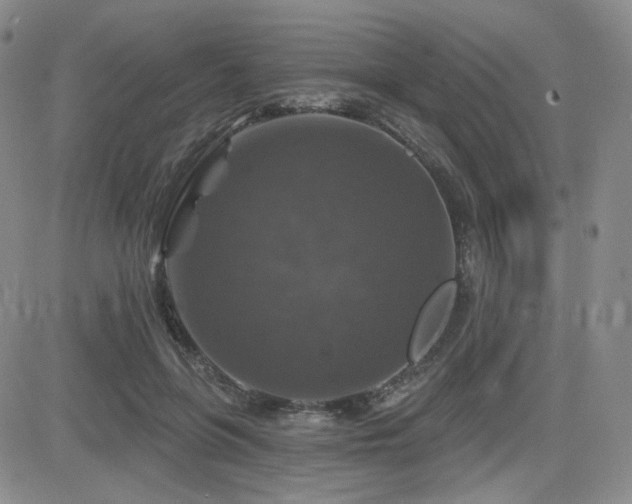 X0000084520551200702231137