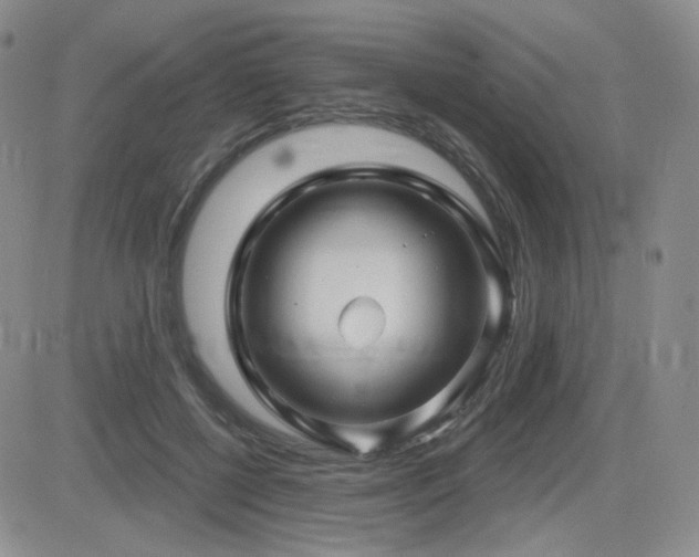 X0000084520552200702231137