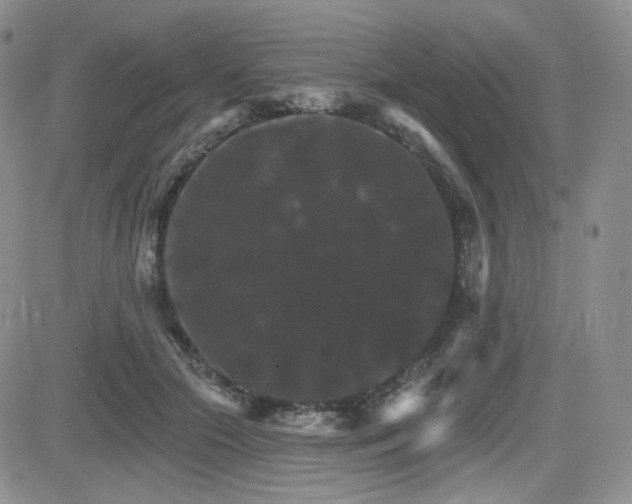 X0000084520553200702231137