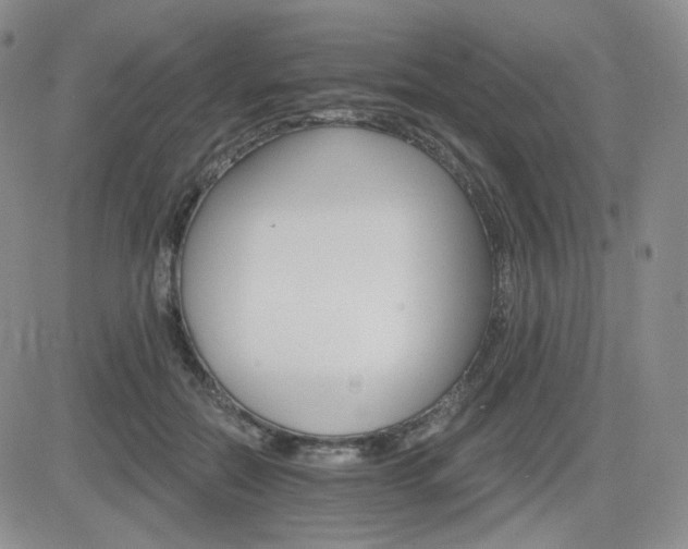 X0000084520554200702231137