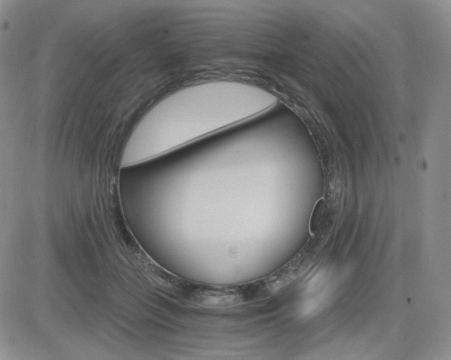 X0000084520555200702231137