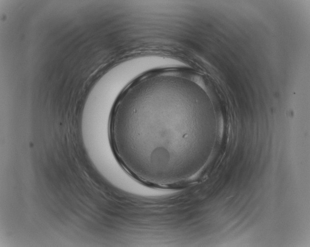 X0000084520556200702231137