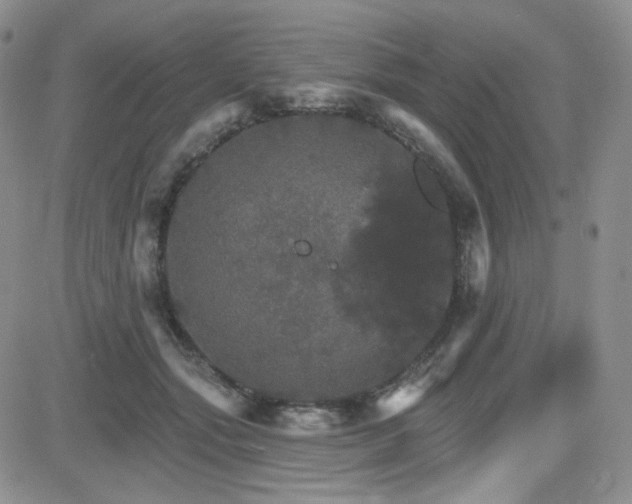 X0000084520557200702231137