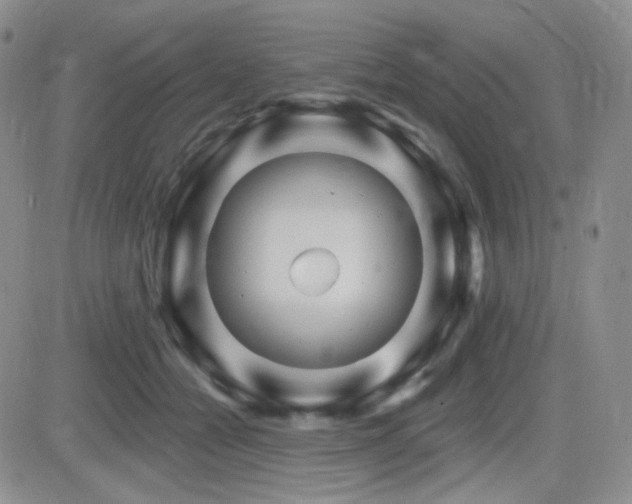 X0000084520558200702231137