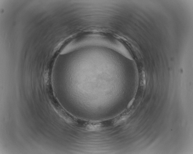 X0000084520560200702231137