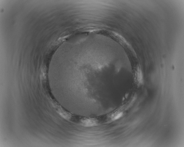 X0000084520561200702231137