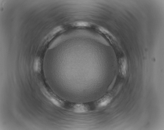 X0000084520562200702231137