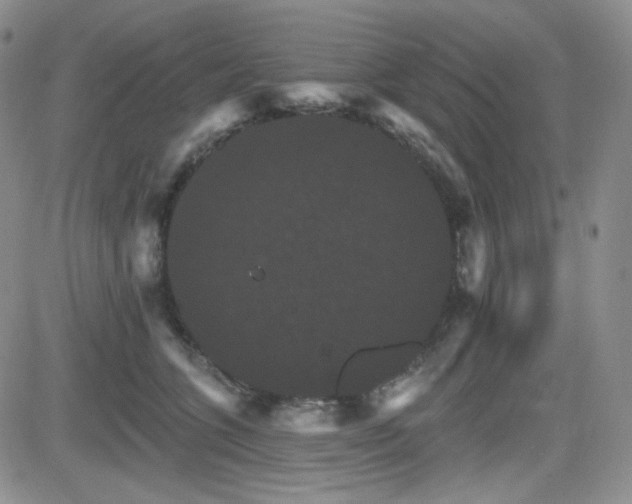 X0000084520563200702231137