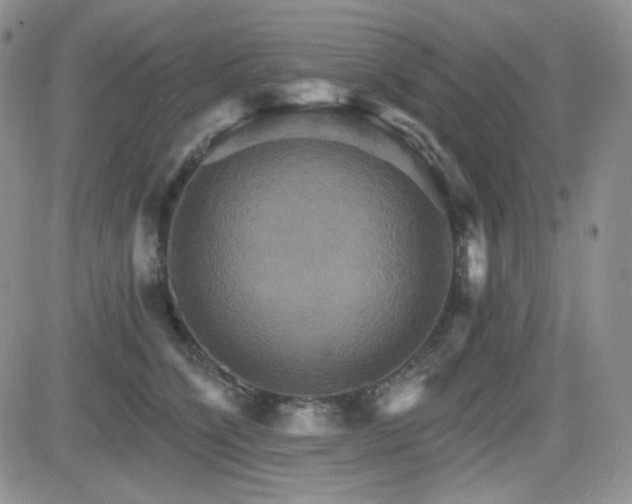 X0000084520564200702231137