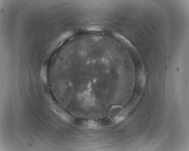 X0000084520565200702231137