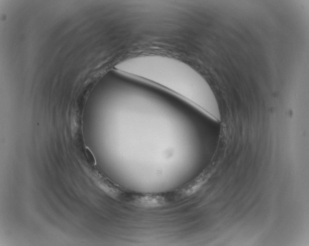 X0000084520566200702231137