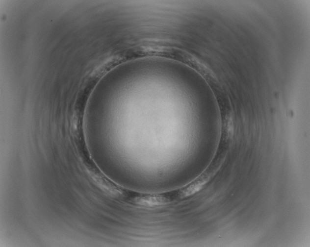 X0000084520567200702231137