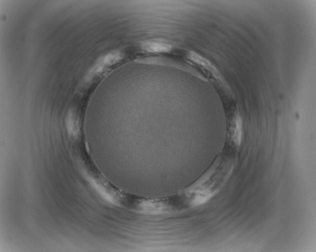 X0000084520568200702231137