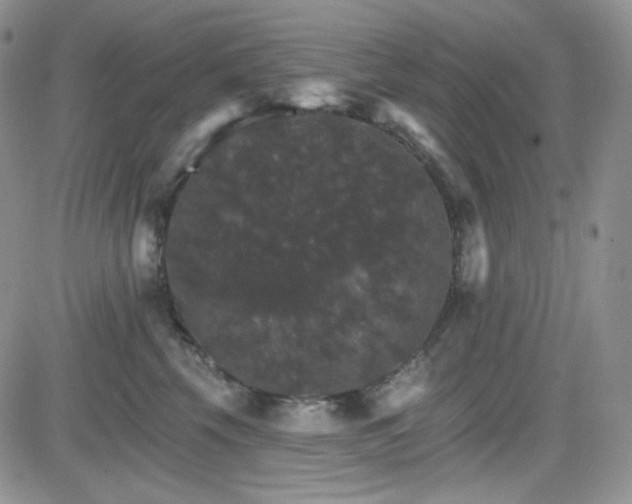 X0000084520569200702231137