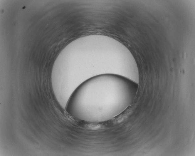 X0000084520570200702231137