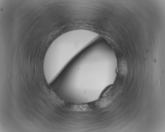 X0000084520571200702231138