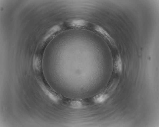 X0000084520572200702231138